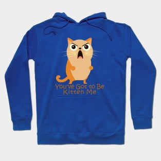 You've Got to Be Kitten Me. Hoodie